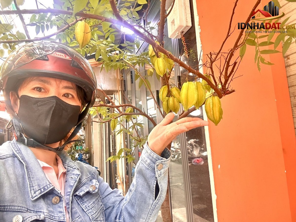 siêu phẩm 5 tầng mặt tiền đường số- xe tải quay đầu- trên trục đường tân vĩnh- khánh hội – hoàng Bán nhà đất Đường 34 – Phường cũ Không xác định Quận 6 – Phường mới Không xác định – Thành phố Hồ Chí Minh 28m2 8.75 tỷ